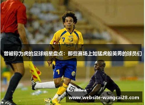 曾被称为虎的足球明星盘点：那些赛场上如猛虎般英勇的球员们